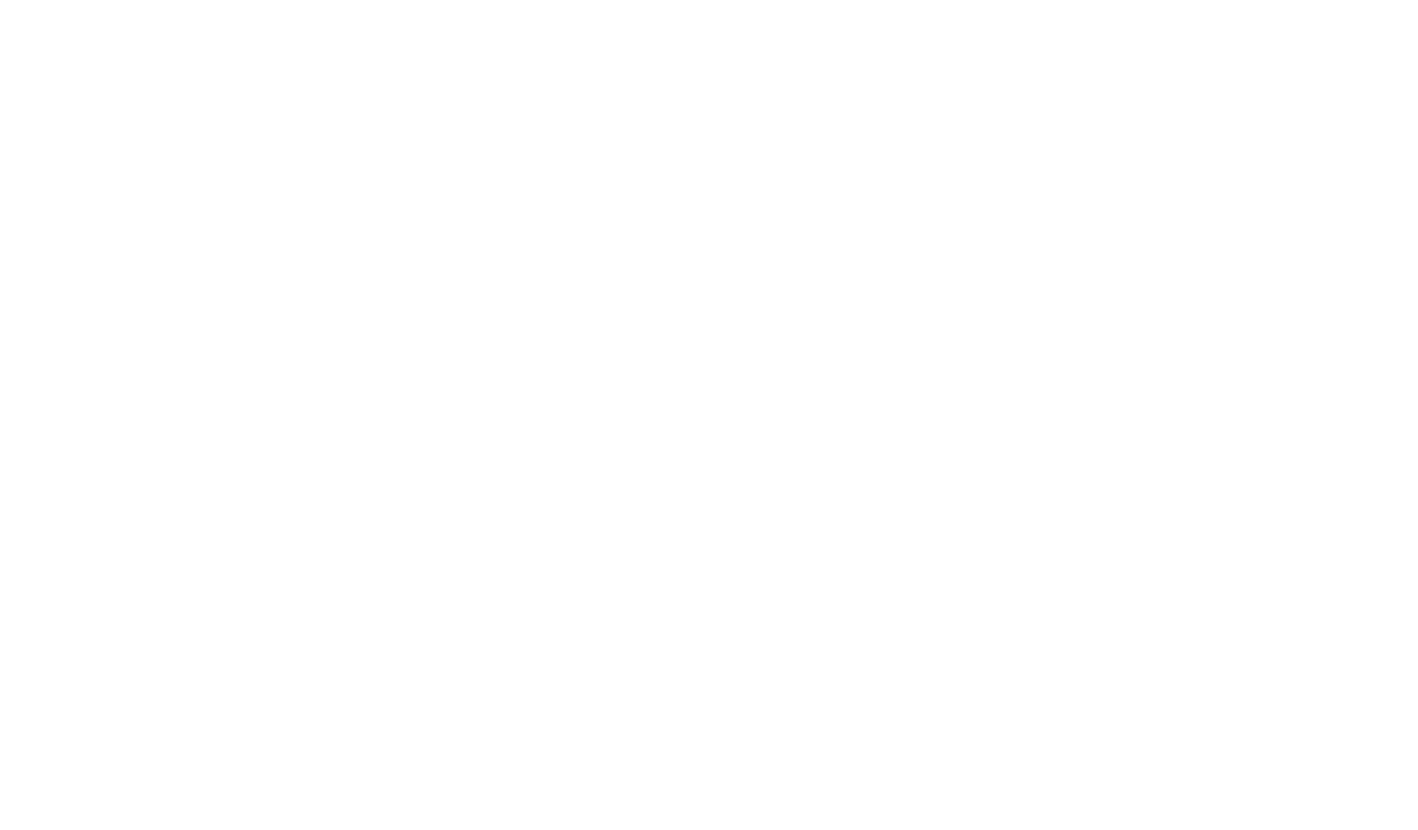 Master Kong