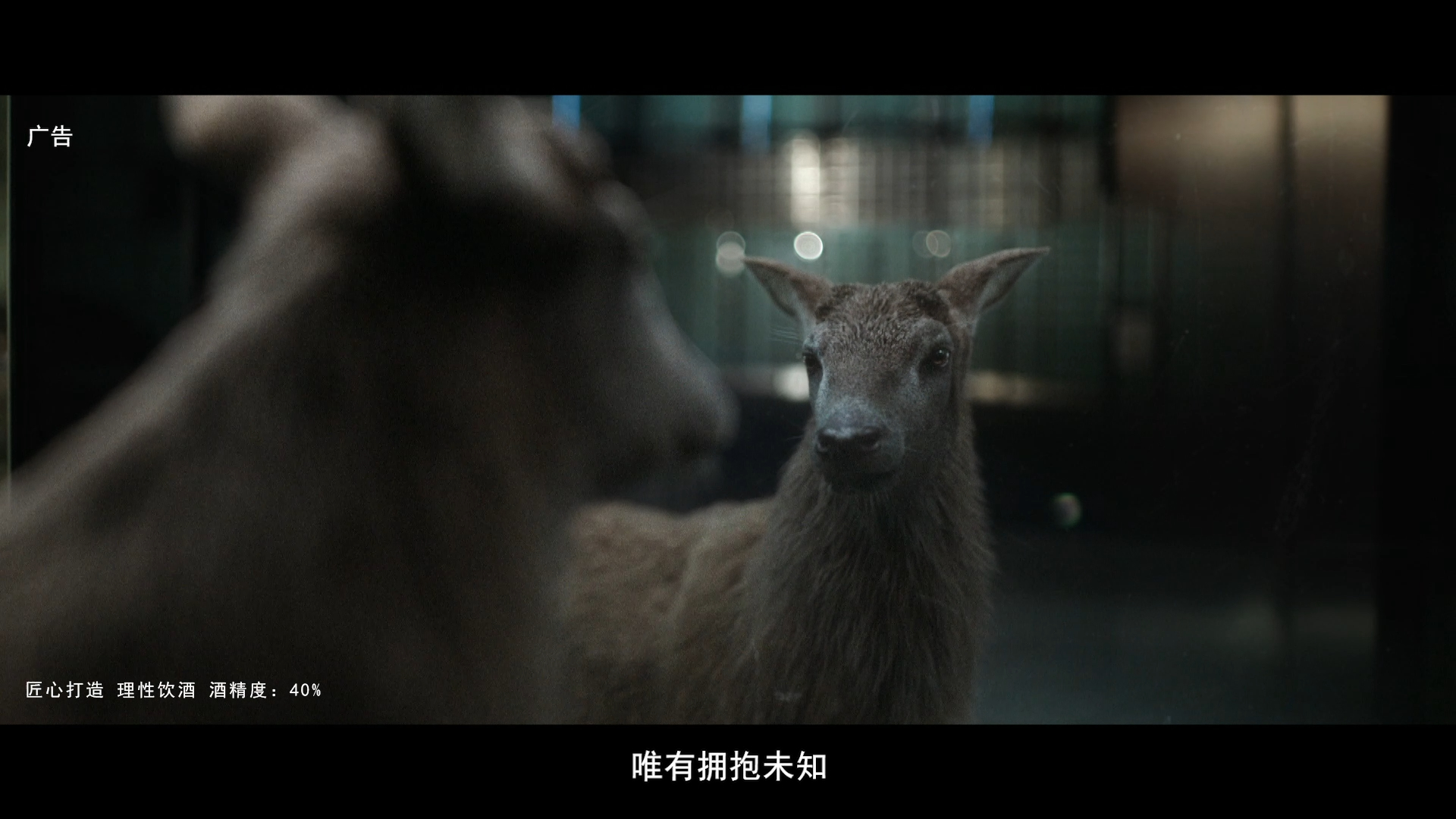 Glenfiddich — Selected Work