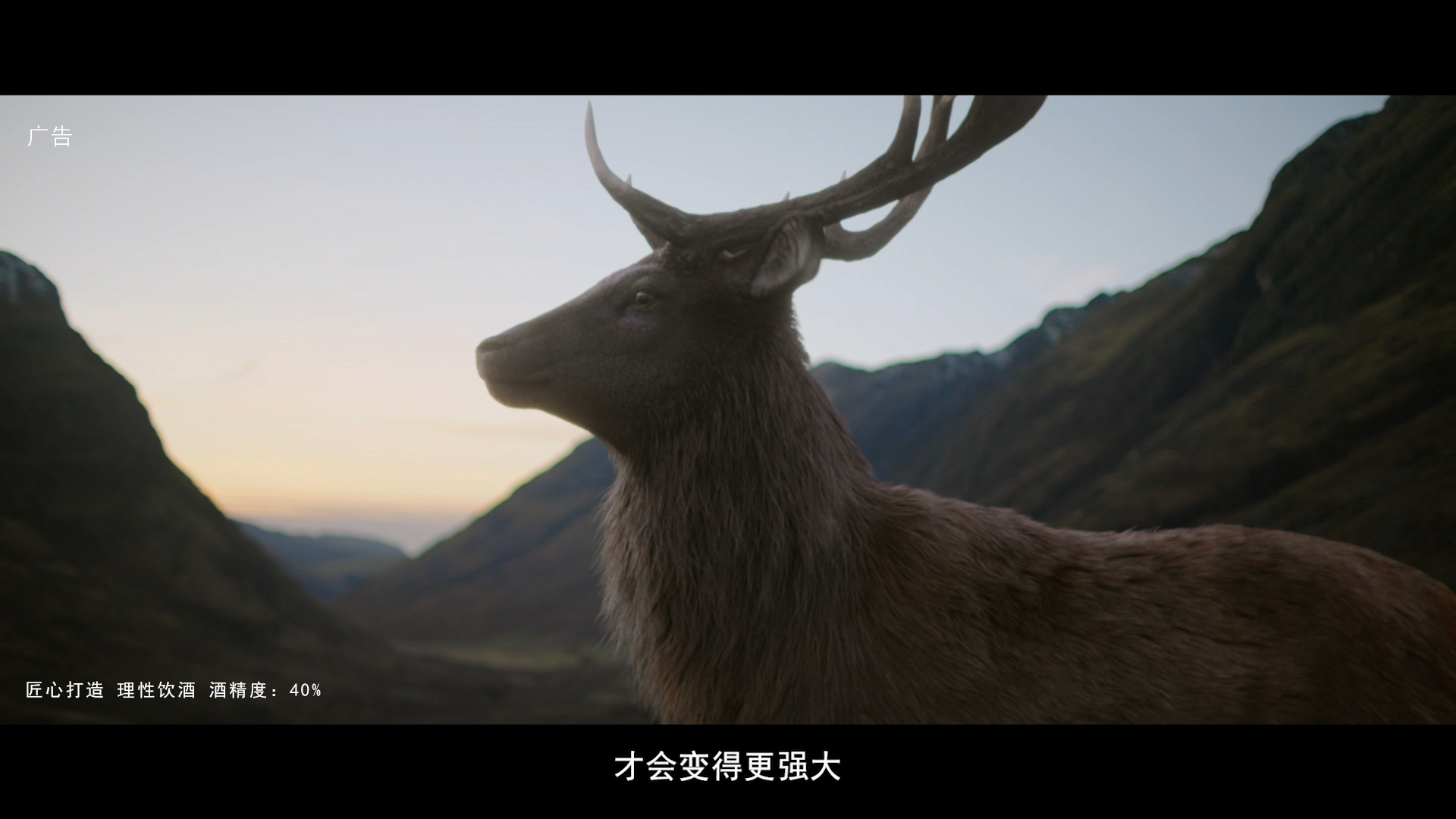Glenfiddich frame 5